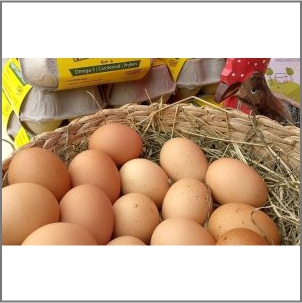 Eggs Chicken Dozen Large Happy Hens